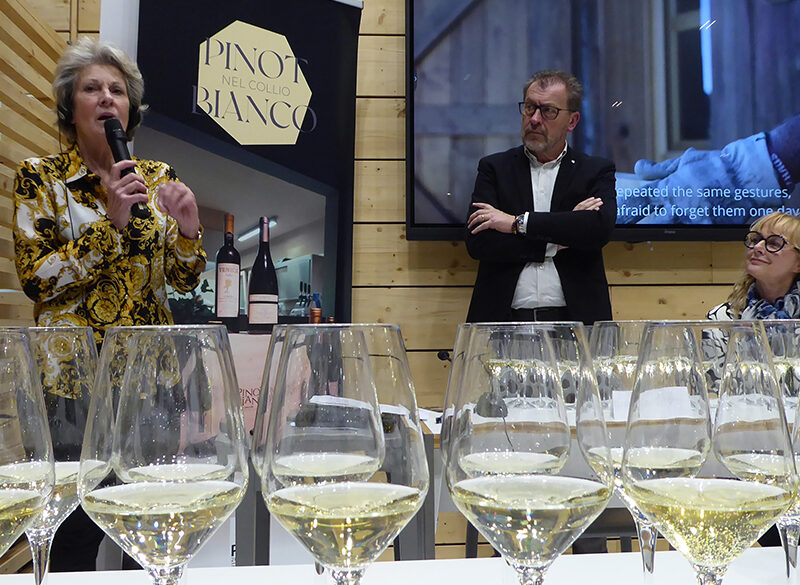 Pinot bianco nel Collio finalmente in Rete