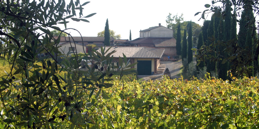 Vino Nobile Boscarelli: l’equilibrio è nell’insieme