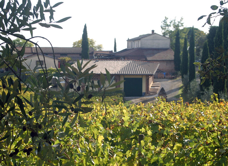 Vino Nobile Boscarelli: l’equilibrio è nell’insieme
