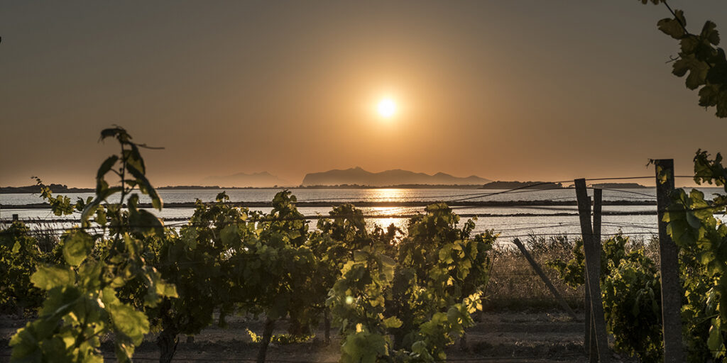 Il Marsala tra mercato, concorrenza e sguardo al futuro
