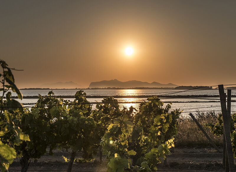 Il Marsala tra mercato, concorrenza e sguardo al futuro