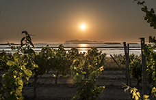 Il Marsala tra mercato, concorrenza e sguardo al futuro