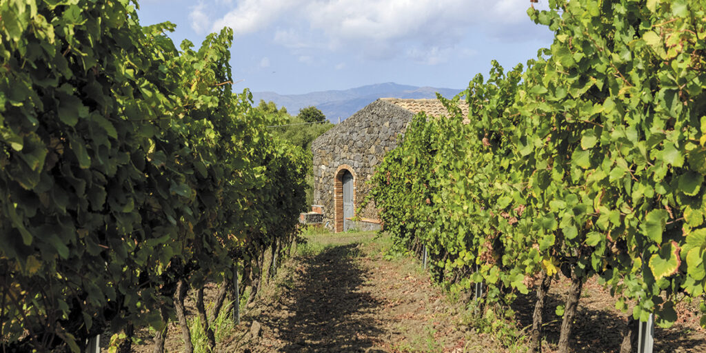 Duca di Salaparuta, rinnamorarsi dell’Etna con Lavico