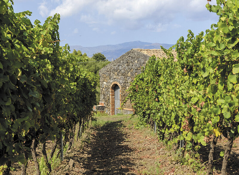 Duca di Salaparuta, rinnamorarsi dell’Etna con Lavico