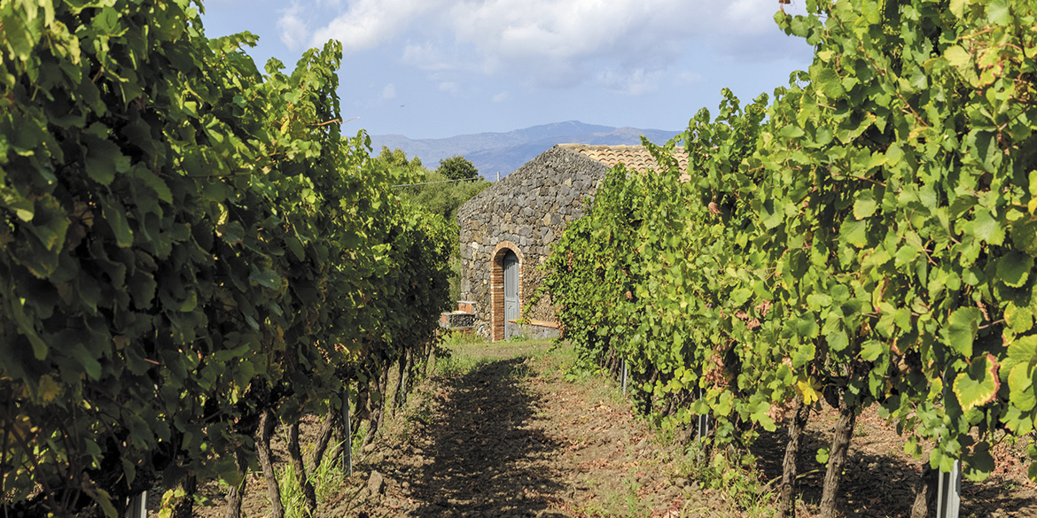 Duca di Salaparuta, rinnamorarsi dell’Etna con Lavico