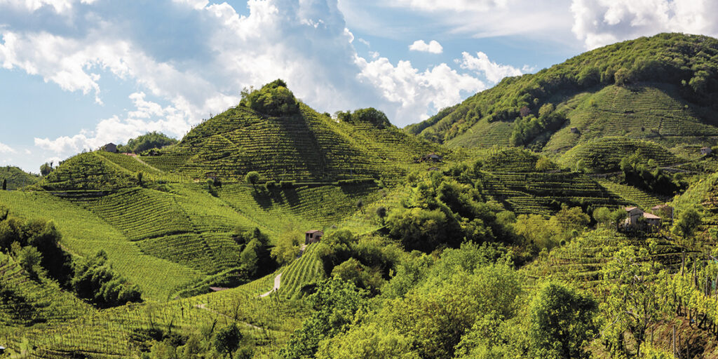 Cantina Produttori di Valdobbiadene: siamo i pionieri delle Rive