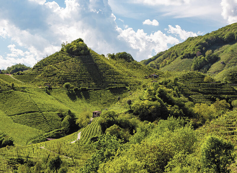 Cantina Produttori di Valdobbiadene: siamo i pionieri delle Rive