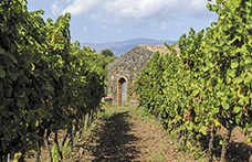Duca di Salaparuta, rinnamorarsi dell’Etna con Lavico