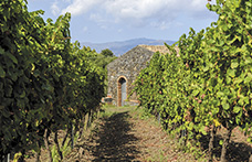 Duca di Salaparuta, rinnamorarsi dell’Etna con Lavico