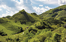 Cantina Produttori di Valdobbiadene: siamo i pionieri delle Rive