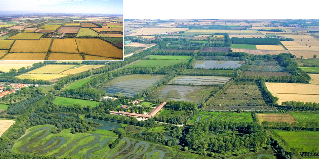 Simbiosi, un modello da seguire per l’agroalimentare