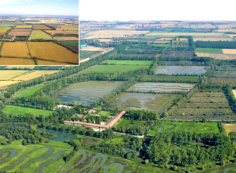 Simbiosi, un modello da seguire per l’agroalimentare