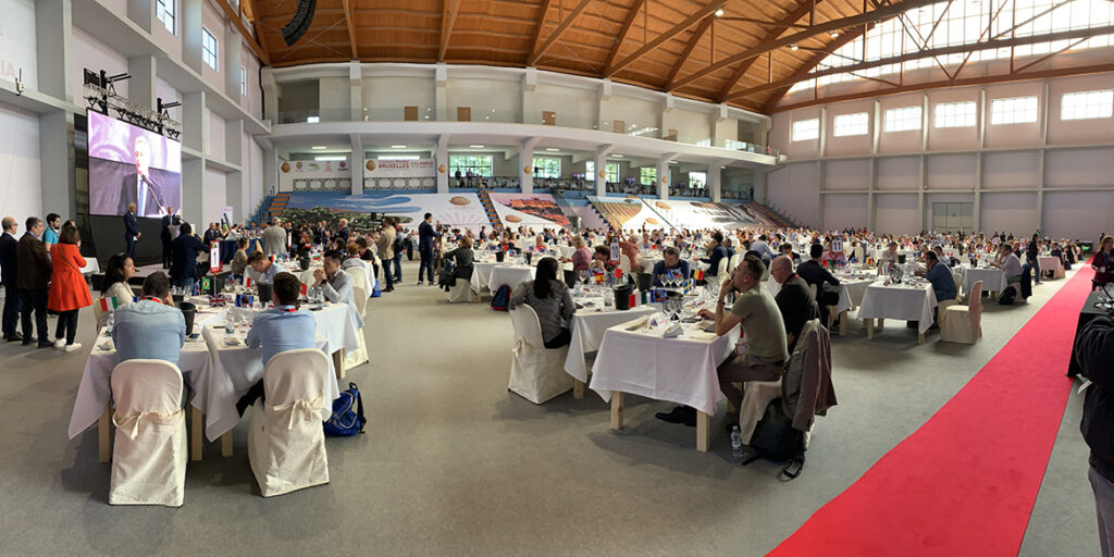 I vini vincitori al Concours Mondial de Bruxelles in Calabria
