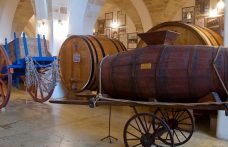 I musei del vino: Museo della civiltà del vino Primitivo a Manduria
