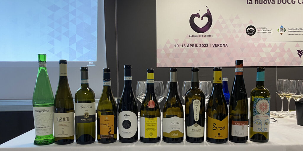 La “nuova” Docg Castelli di Jesi Verdicchio