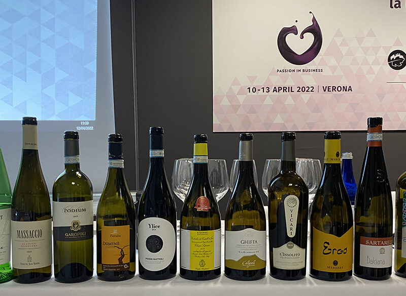 La “nuova” Docg Castelli di Jesi Verdicchio