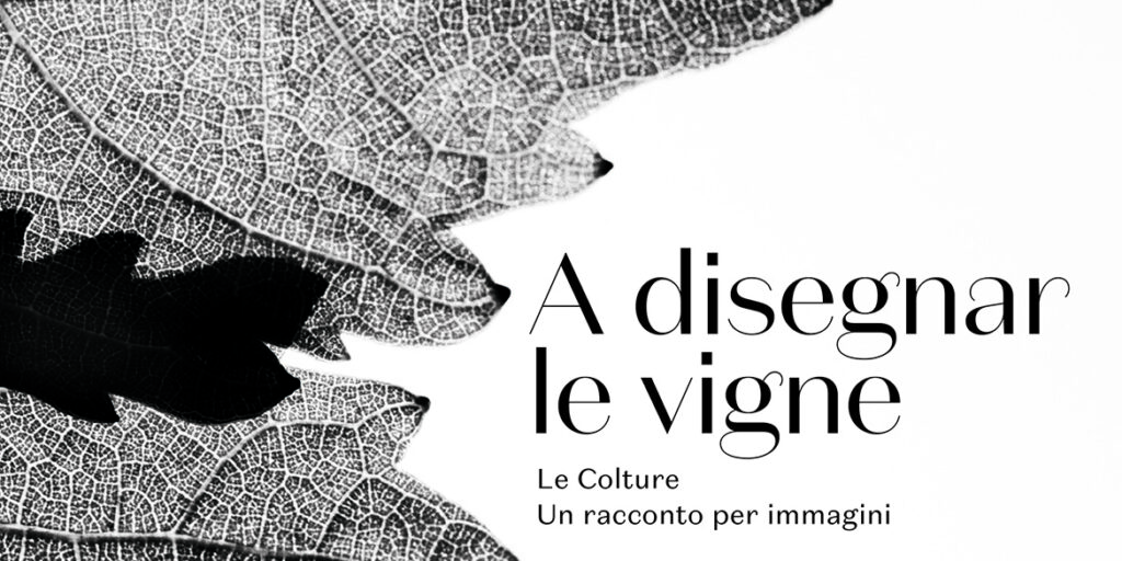 Le Colture racconta Valdobbiadene per immagini e con un nuovo vino