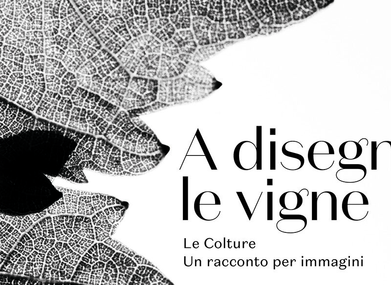 Le Colture racconta Valdobbiadene per immagini e con un nuovo vino