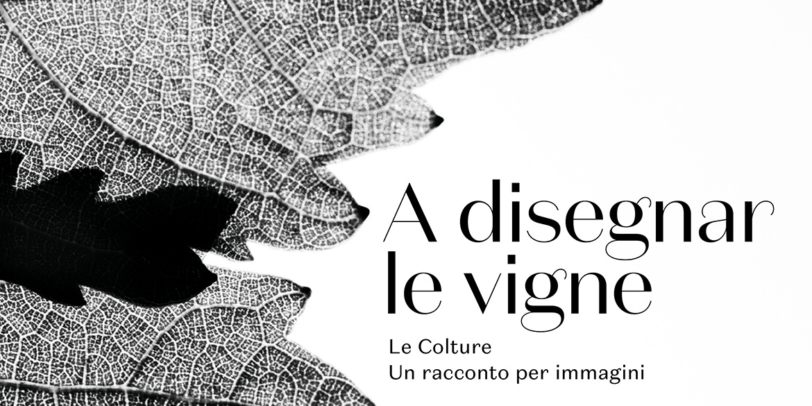 Le Colture racconta Valdobbiadene per immagini e con un nuovo vino