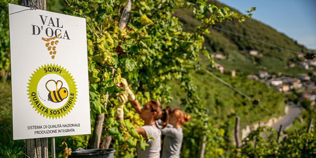 La Cantina Produttori di Valdobbiadene – Val d’Oca ha ottenuto la certificazione Equalitas