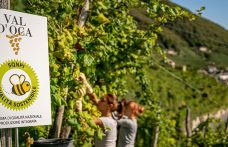 La Cantina Produttori di Valdobbiadene – Val d’Oca ha ottenuto la certificazione Equalitas