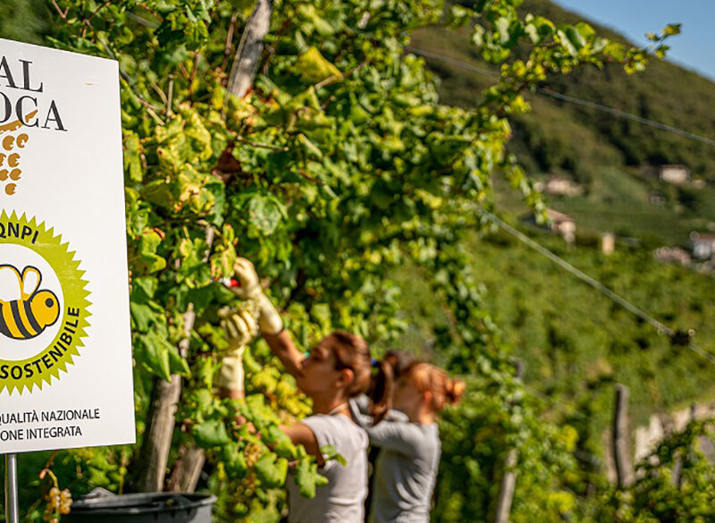 La Cantina Produttori di Valdobbiadene – Val d’Oca ha ottenuto la certificazione Equalitas