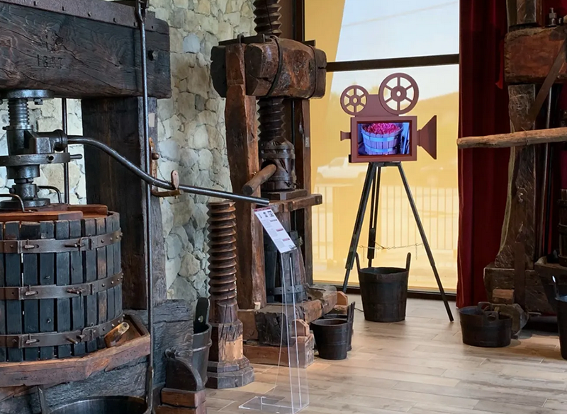 I musei del vino: visita al Museo del vino Bardolino di Costabella
