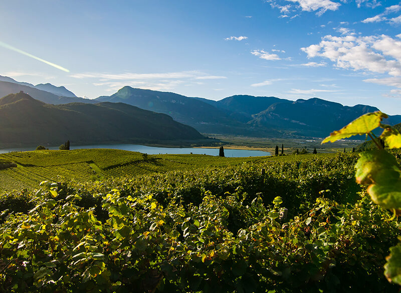La faccia giovane dell’Alto Adige