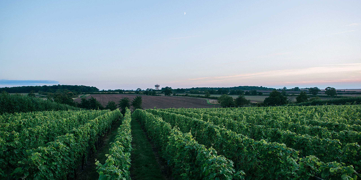 Il clima farà grande il vino britannico