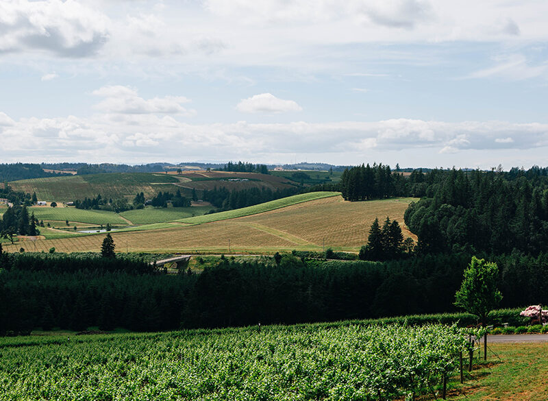 Mount Pisgah, la nuova AVA dell’Oregon