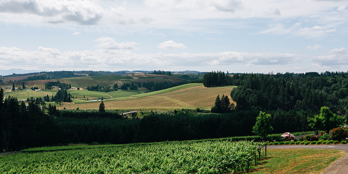 Mount Pisgah, la nuova AVA dell’Oregon
