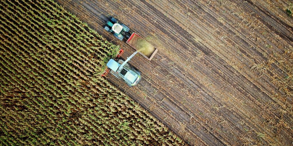 La nuova faccia delle aziende agricole secondo il Settimo Censimento dell’Agricoltura dell’Istat