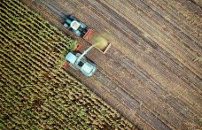 La nuova faccia delle aziende agricole secondo il Settimo Censimento dell’Agricoltura dell’Istat