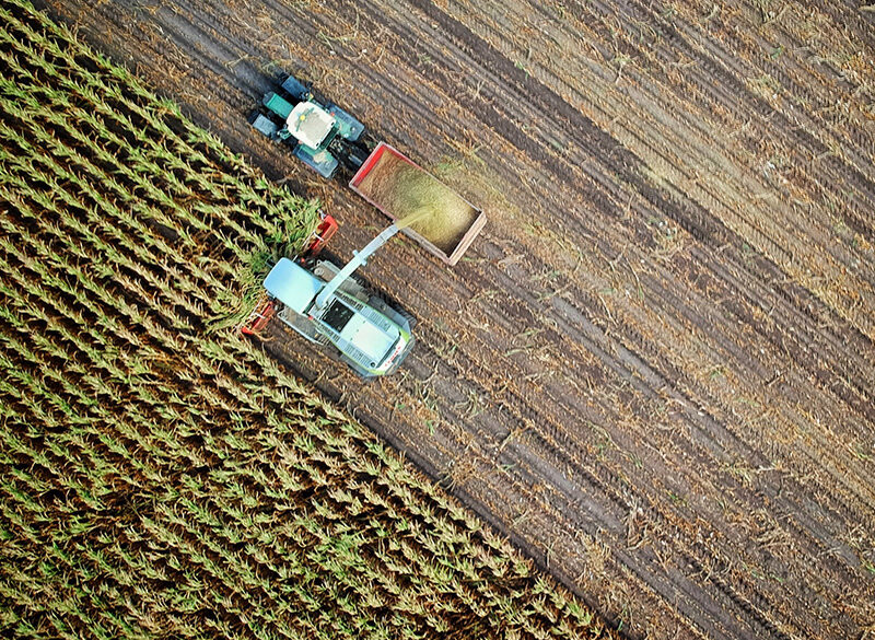 La nuova faccia delle aziende agricole secondo il Settimo Censimento dell’Agricoltura dell’Istat