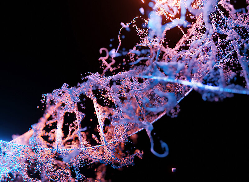 Dna per la tracciabilità del vino: uno studio italiano