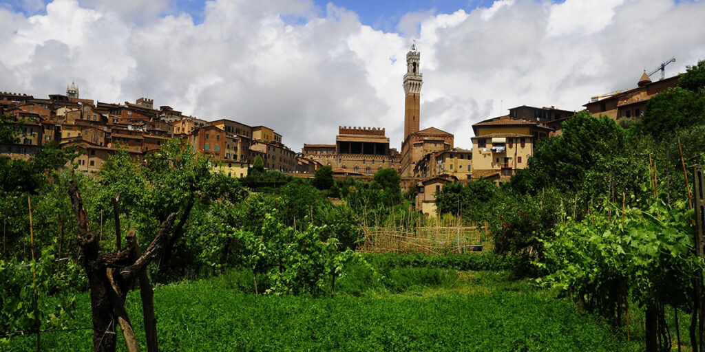 Le Vigne urbane di Siena e Pompei