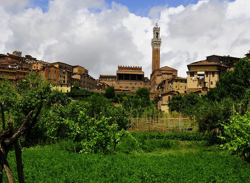 Le Vigne urbane di Siena e Pompei