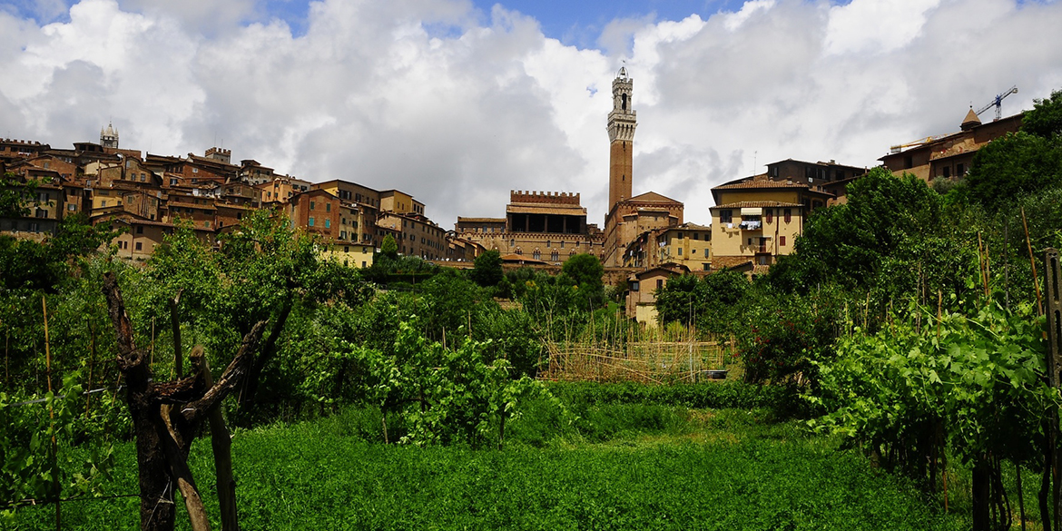 Le Vigne urbane di Siena e Pompei