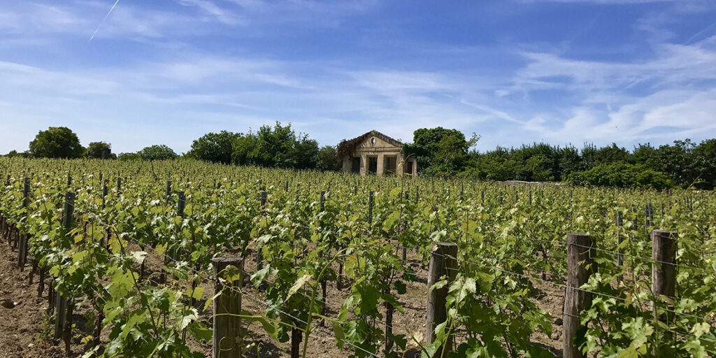 La nuova classificazione di Saint-Émilion