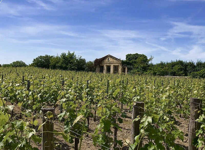 La nuova classificazione di Saint-Émilion