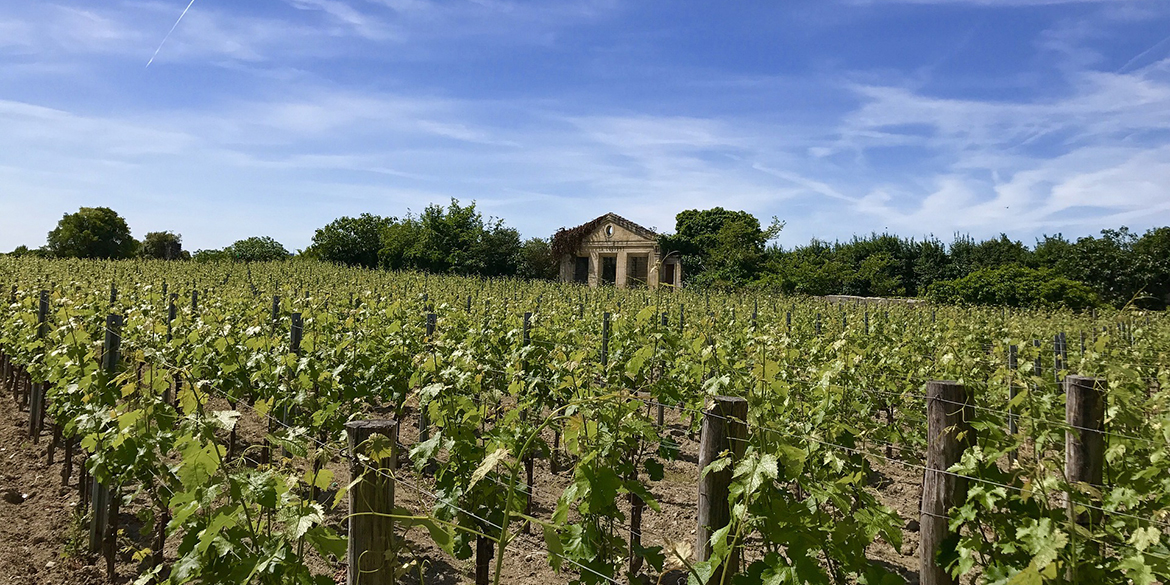 La nuova classificazione di Saint-Émilion