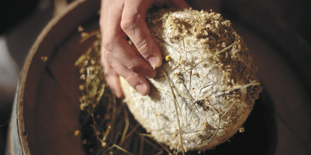 Anche i formaggi hanno cru e terroir da sfoggiare