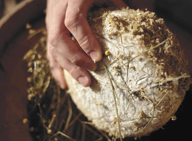 Anche i formaggi hanno cru e terroir da sfoggiare