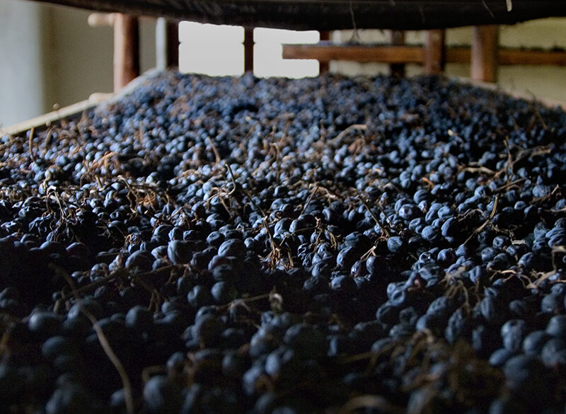 Il metodo tradizionale della messa a riposo delle uve della Valpolicella candidato a patrimonio immateriale Unesco