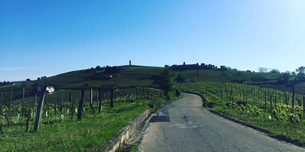 Canelli Città del Vino: sarà un fine settimana di festa