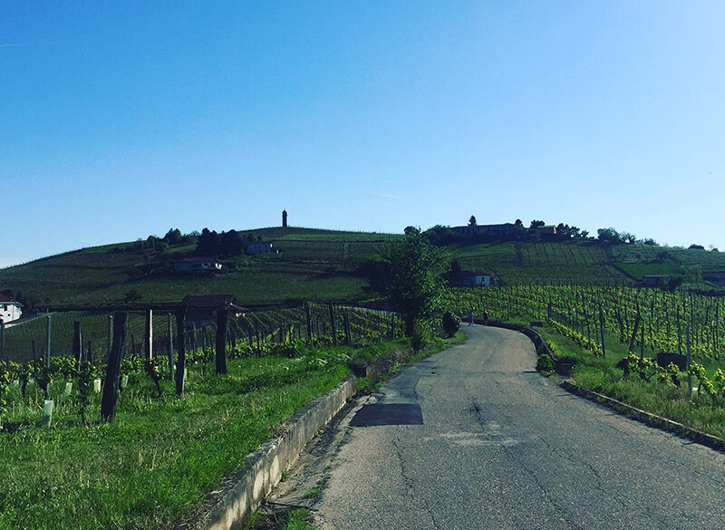Canelli Città del Vino: sarà un fine settimana di festa