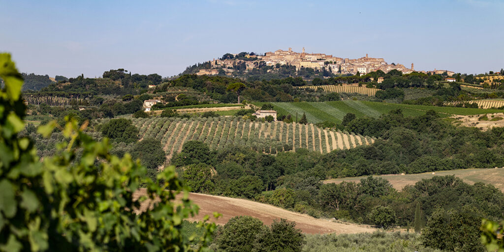 Frescobaldi a Montepulciano: il debutto di Tenuta Calimaia