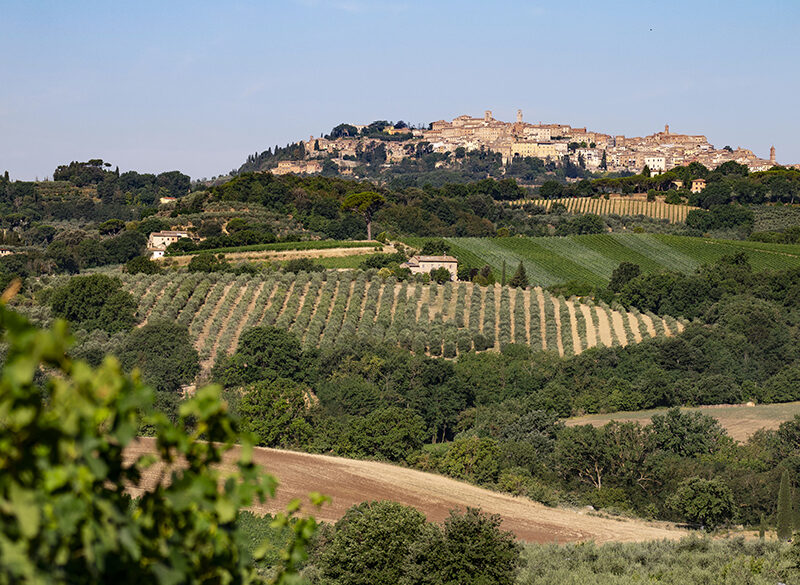 Frescobaldi a Montepulciano: il debutto di Tenuta Calimaia