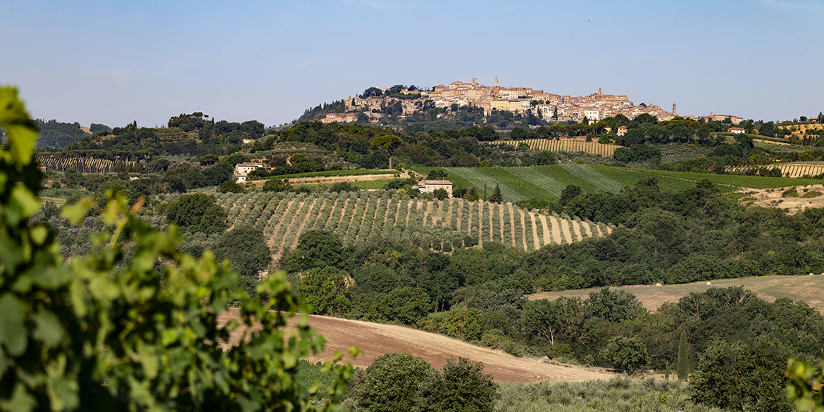 Frescobaldi a Montepulciano: il debutto di Tenuta Calimaia