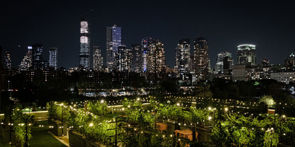 Le Vigne urbane di New York e della Polinesia